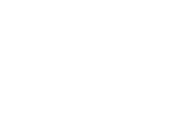 logo light